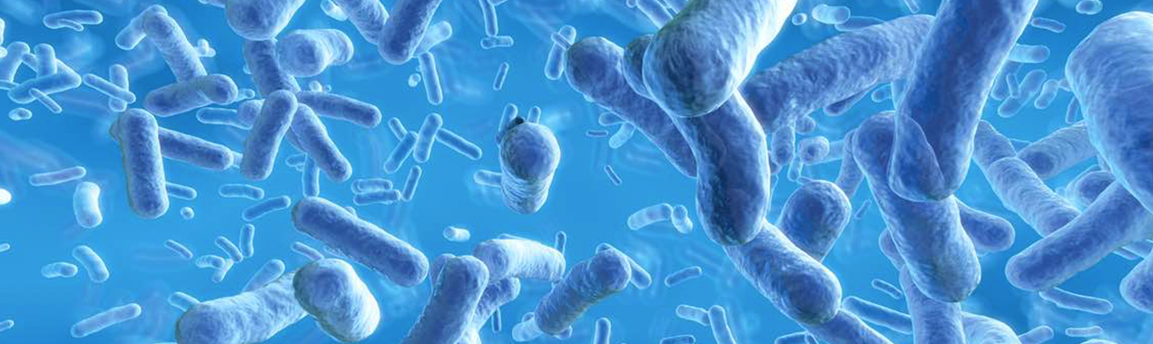 Intérêt des probiotiques dans la prévention de la maladie allergique